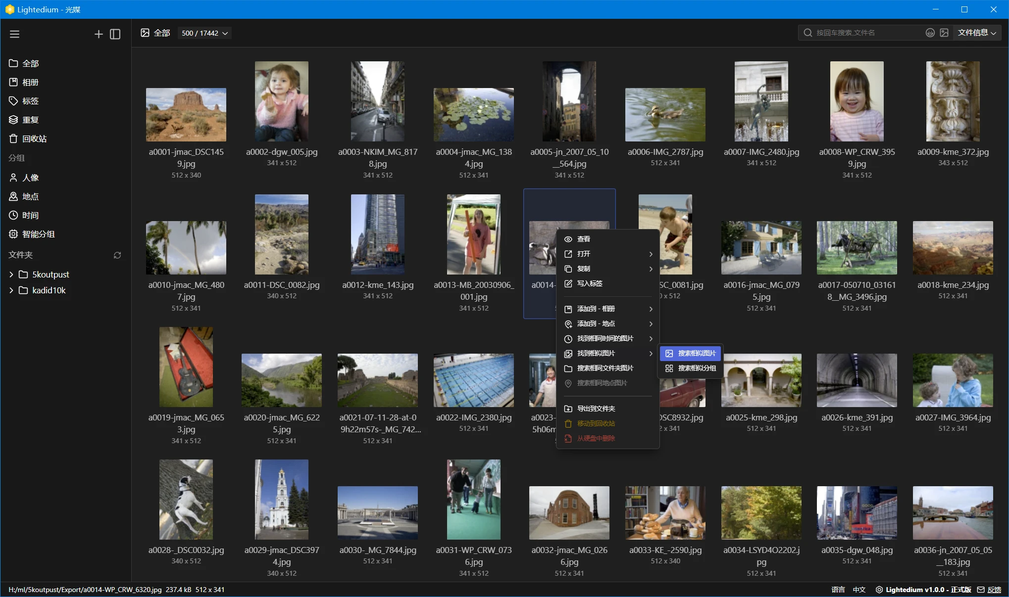 Lightedium 照片管理界面